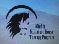 Mighty Mini Horse Therapy Program